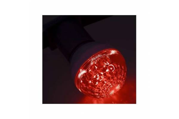 Лампа светодиодная 1Вт 9LED Шар d50 E27 красн. Neon-Night 405-212